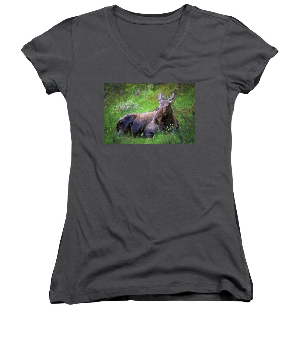 Wild Moose Canadian Rockies - Women's V-Neck