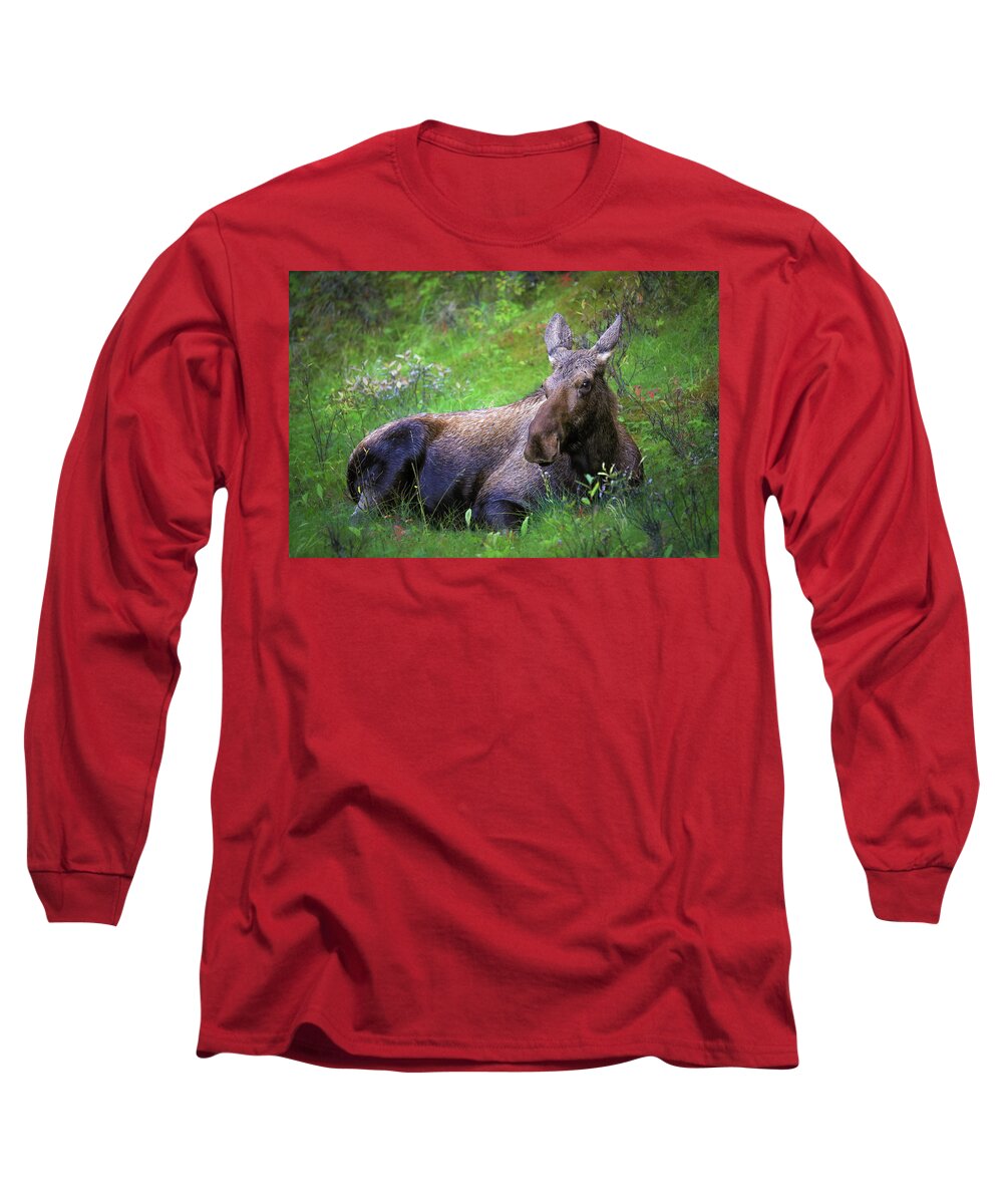 Wild Moose Canadian Rockies - Long Sleeve T-Shirt