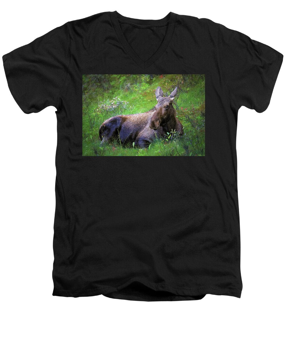 Wild Moose Canadian Rockies - Men's V-Neck T-Shirt