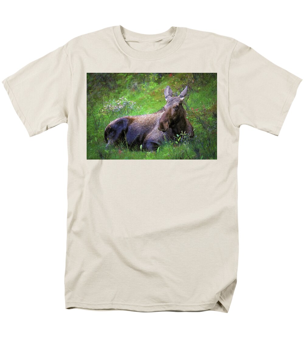 Wild Moose Canadian Rockies - Men's T-Shirt  (Regular Fit)