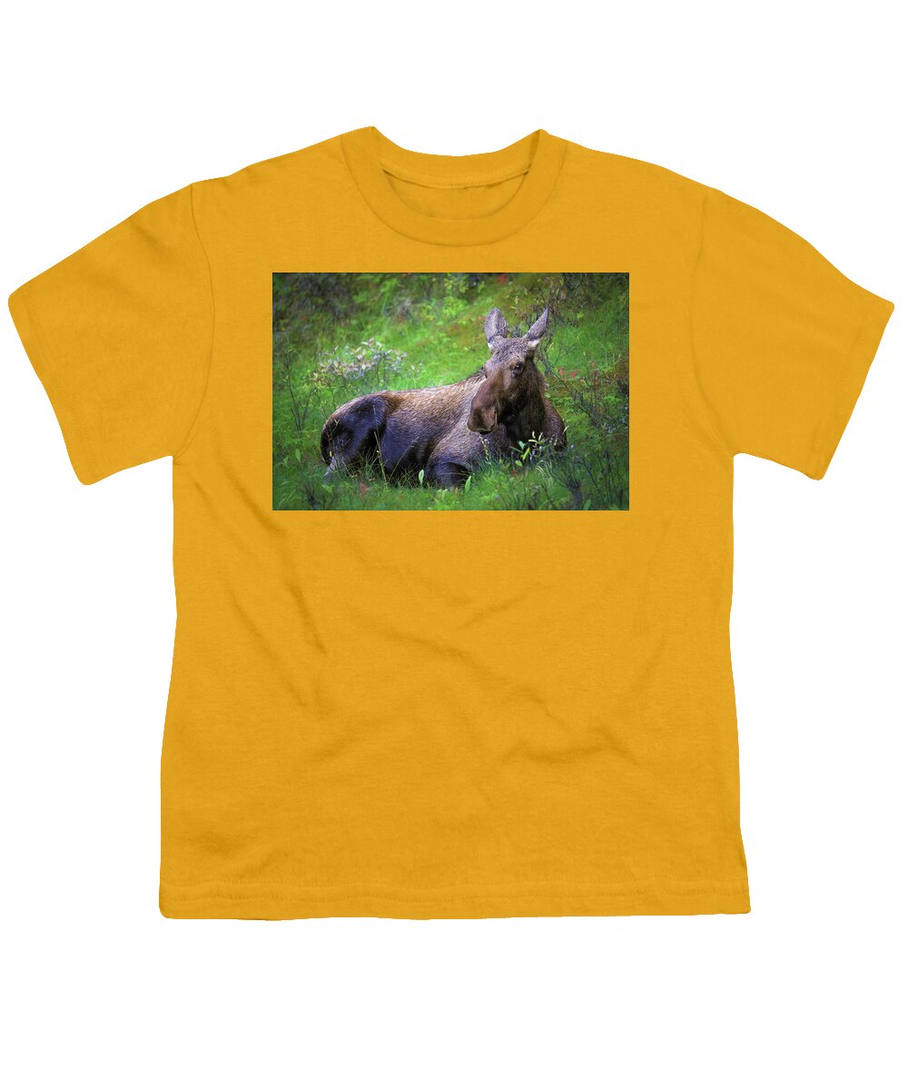 Wild Moose Canadian Rockies - Youth T-Shirt