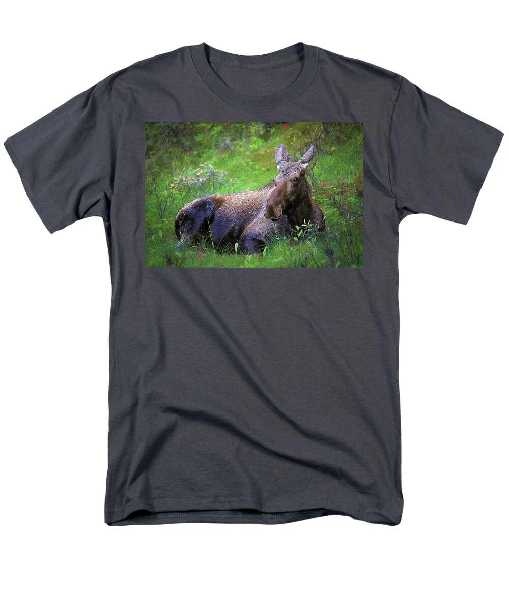 Wild Moose Canadian Rockies - Men's T-Shirt  (Regular Fit)