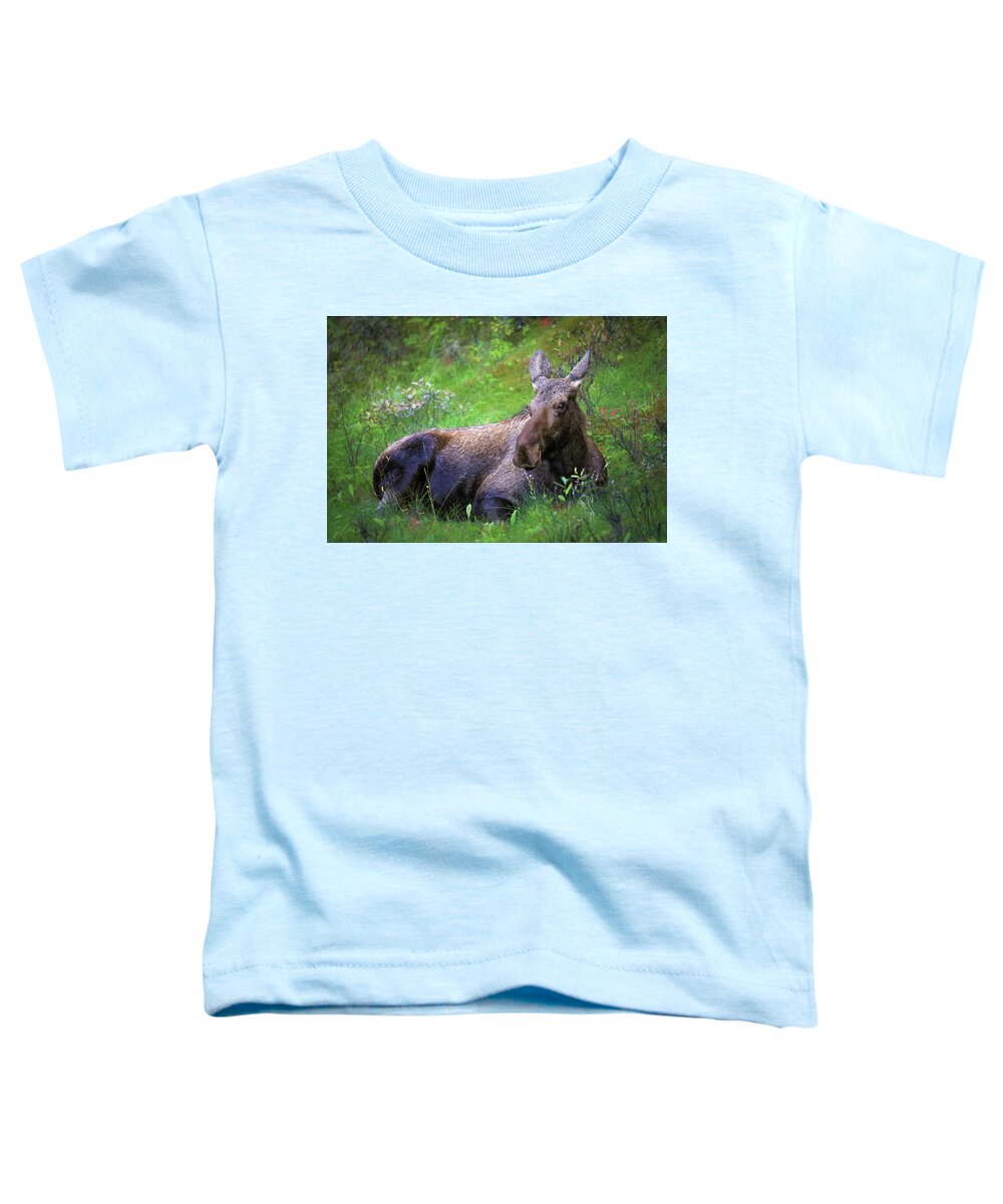 Wild Moose Canadian Rockies - Toddler T-Shirt