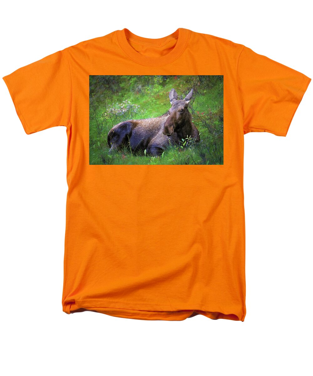 Wild Moose Canadian Rockies - Men's T-Shirt  (Regular Fit)