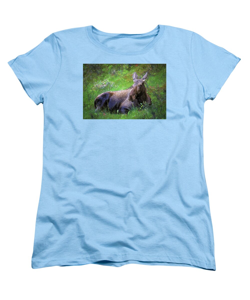 Wild Moose Canadian Rockies - Women's T-Shirt (Standard Fit)