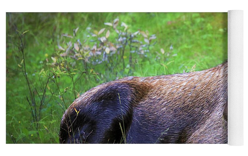 Wild Moose Canadian Rockies - Yoga Mat