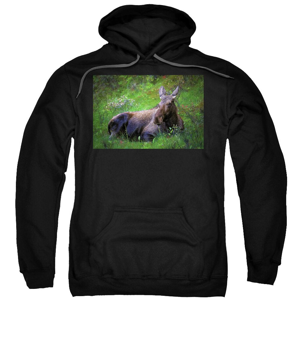 Wild Moose Canadian Rockies - Sweatshirt