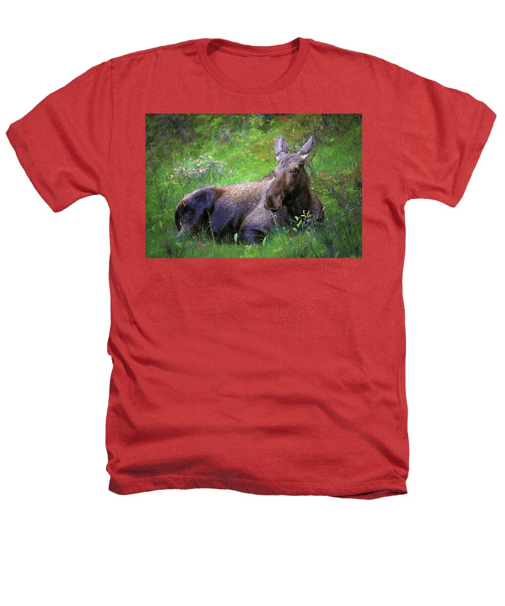 Wild Moose Canadian Rockies - Heathers T-Shirt