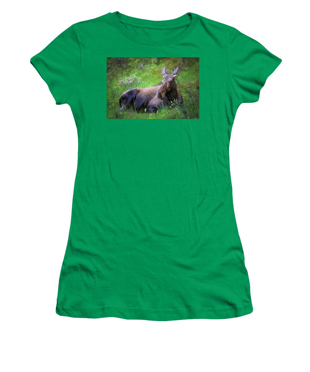 Wild Moose Canadian Rockies - Women's T-Shirt