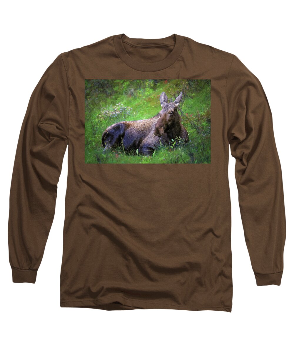 Wild Moose Canadian Rockies - Long Sleeve T-Shirt