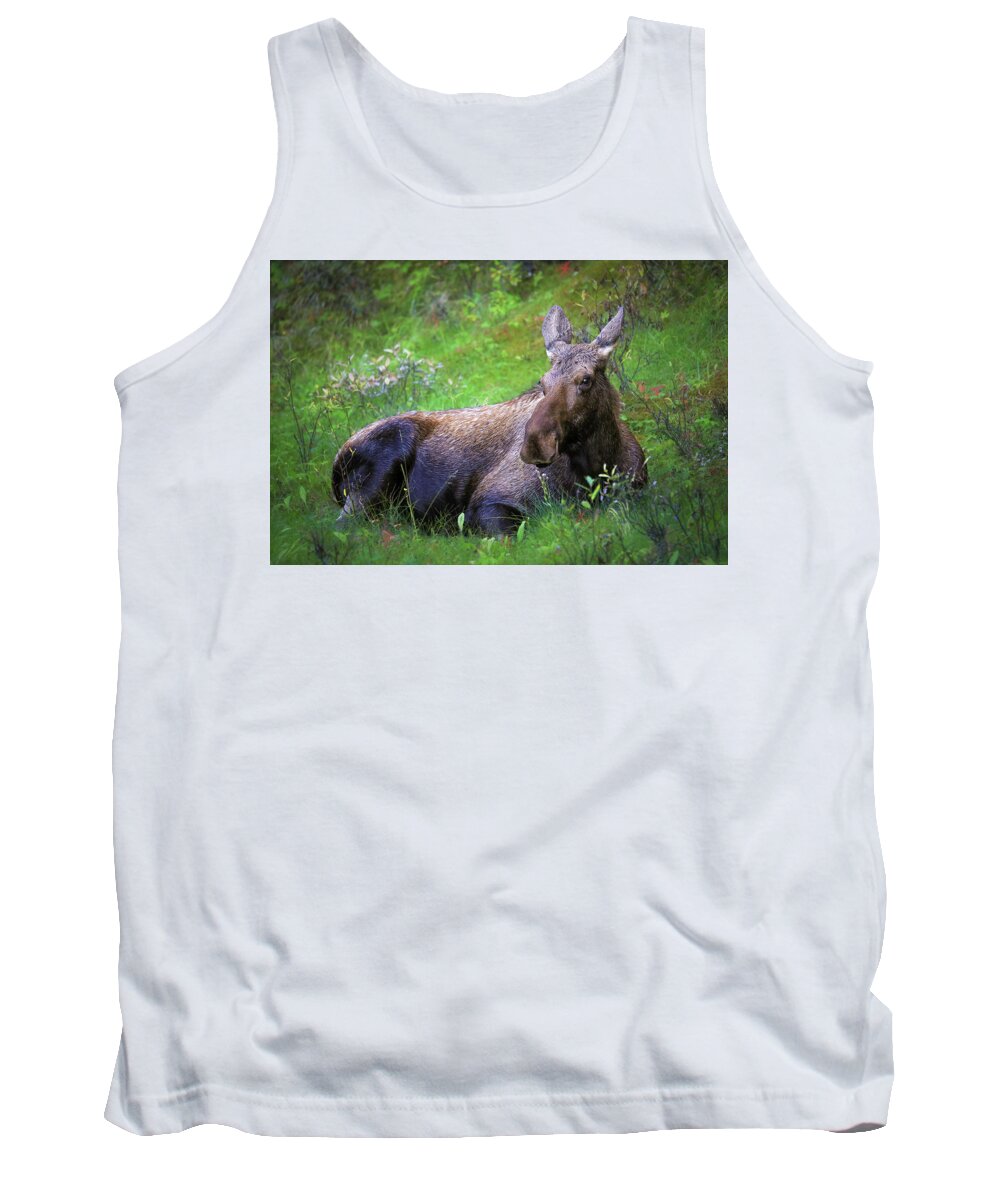 Wild Moose Canadian Rockies - Tank Top