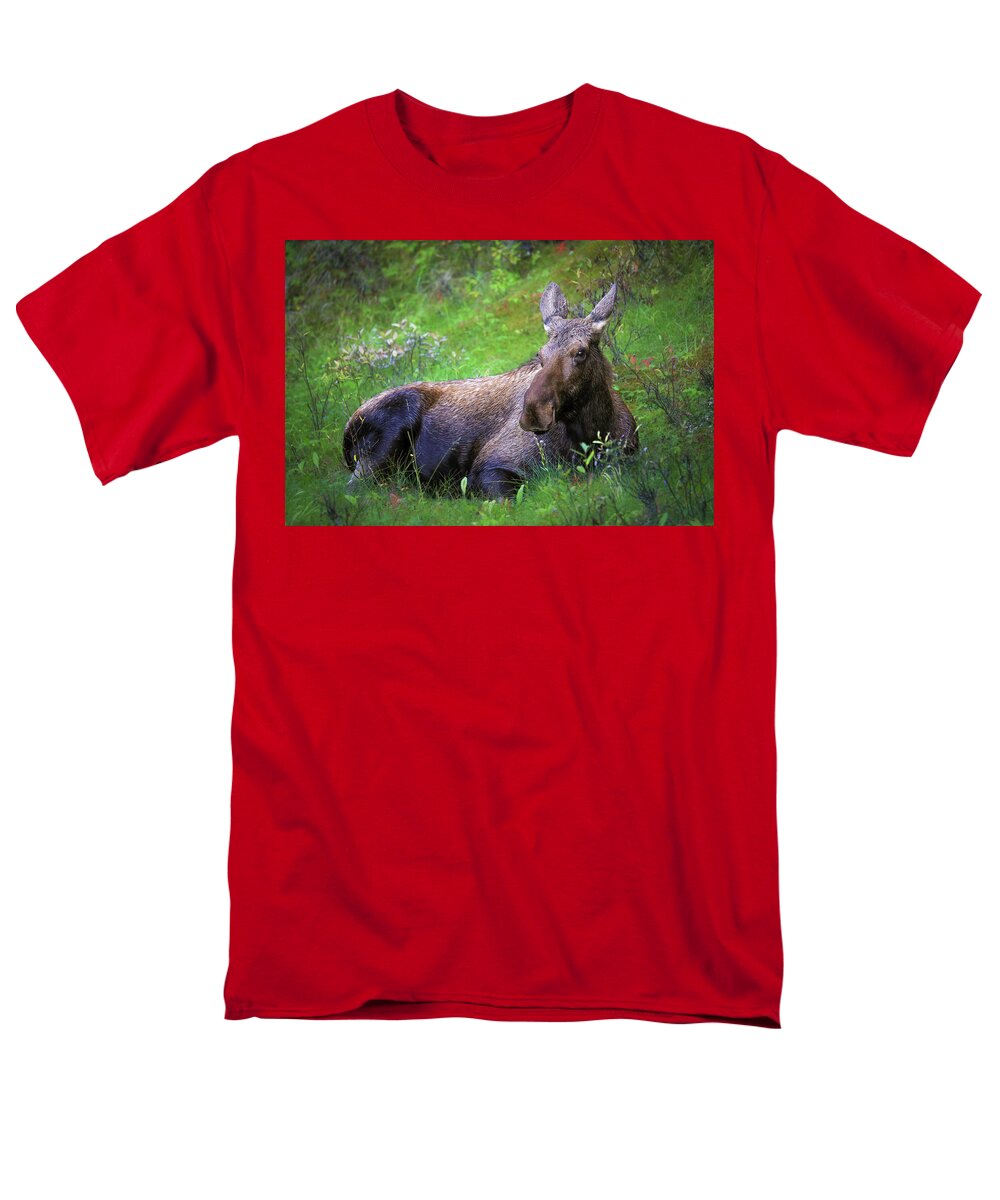 Wild Moose Canadian Rockies - Men's T-Shirt  (Regular Fit)