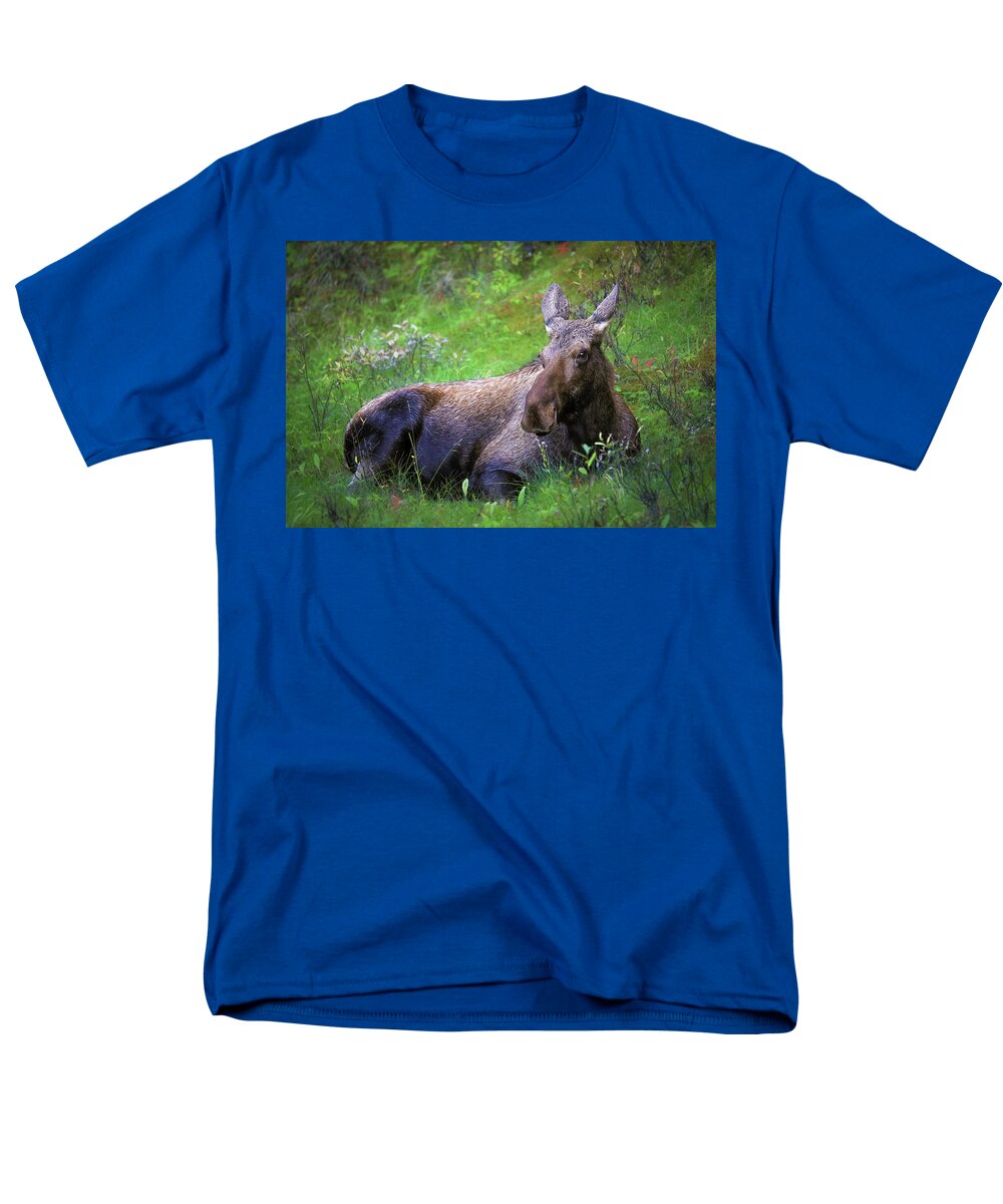 Wild Moose Canadian Rockies - Men's T-Shirt  (Regular Fit)