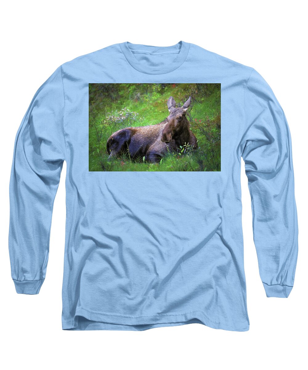 Wild Moose Canadian Rockies - Long Sleeve T-Shirt