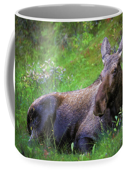 Wild Moose Canadian Rockies - Mug