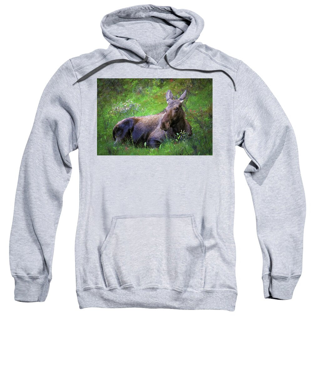 Wild Moose Canadian Rockies - Sweatshirt