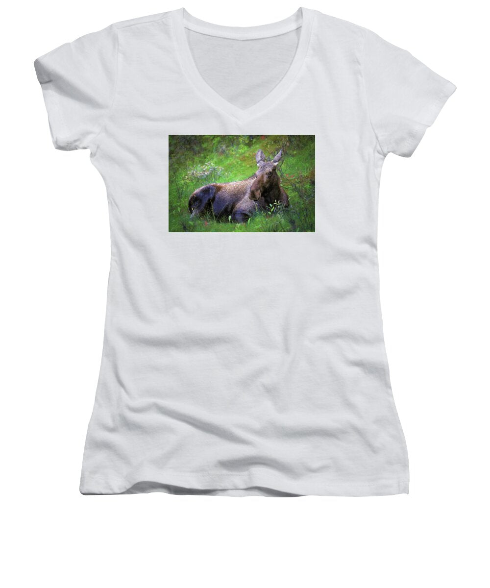 Wild Moose Canadian Rockies - Women's V-Neck