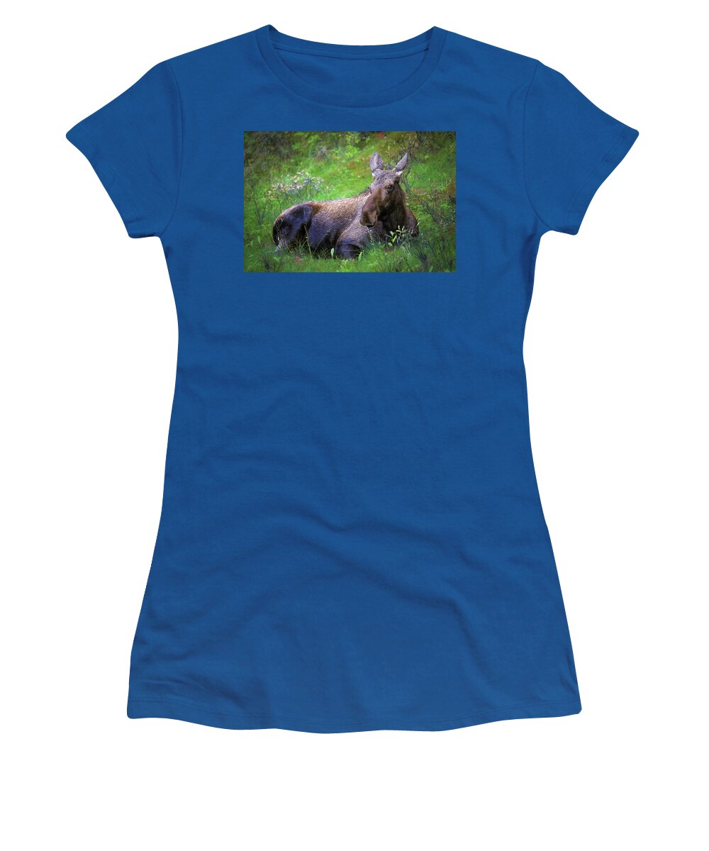 Wild Moose Canadian Rockies - Women's T-Shirt