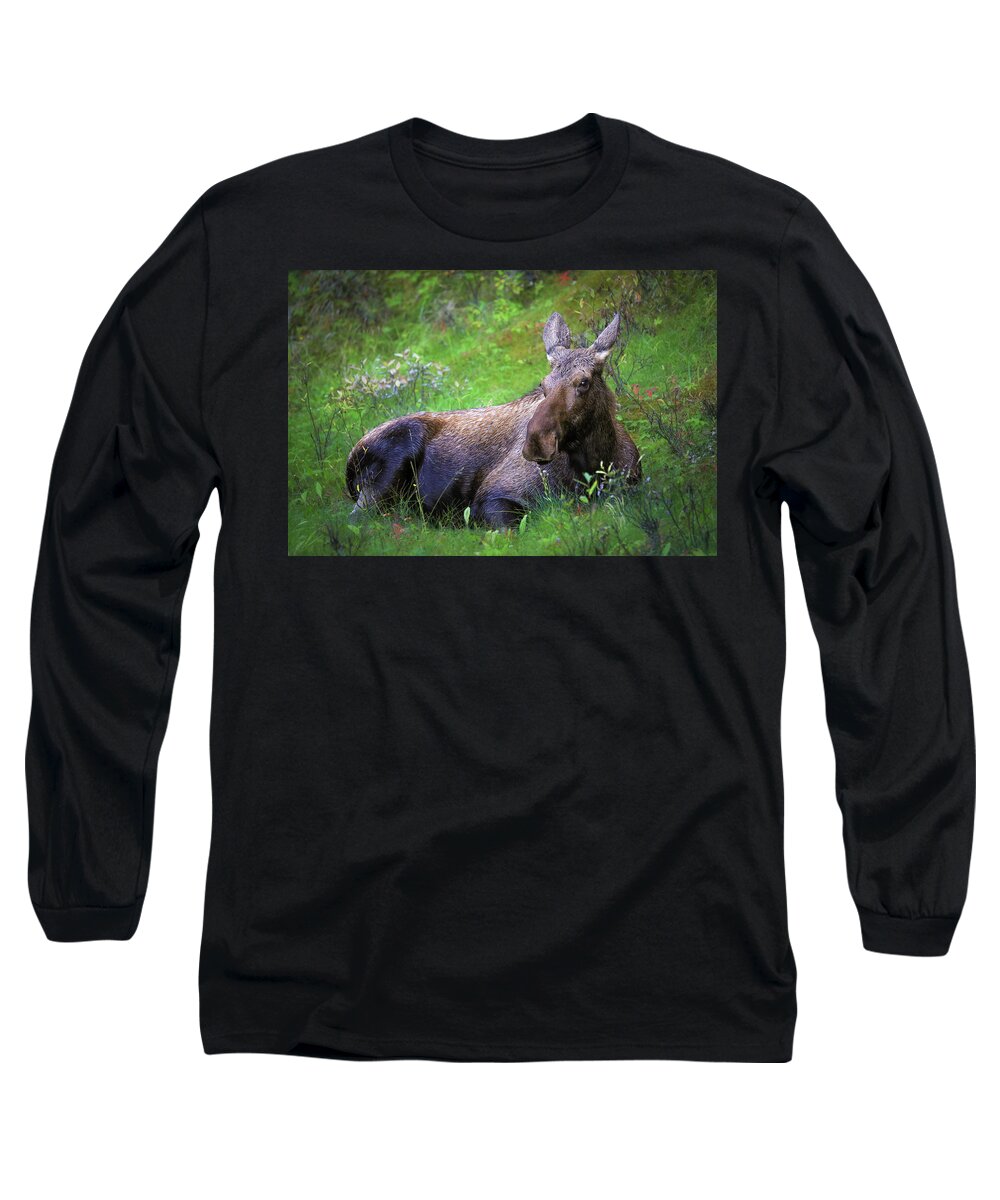 Wild Moose Canadian Rockies - Long Sleeve T-Shirt