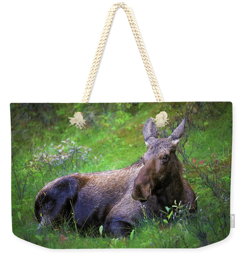 Wild Moose Canadian Rockies - Weekender Tote Bag