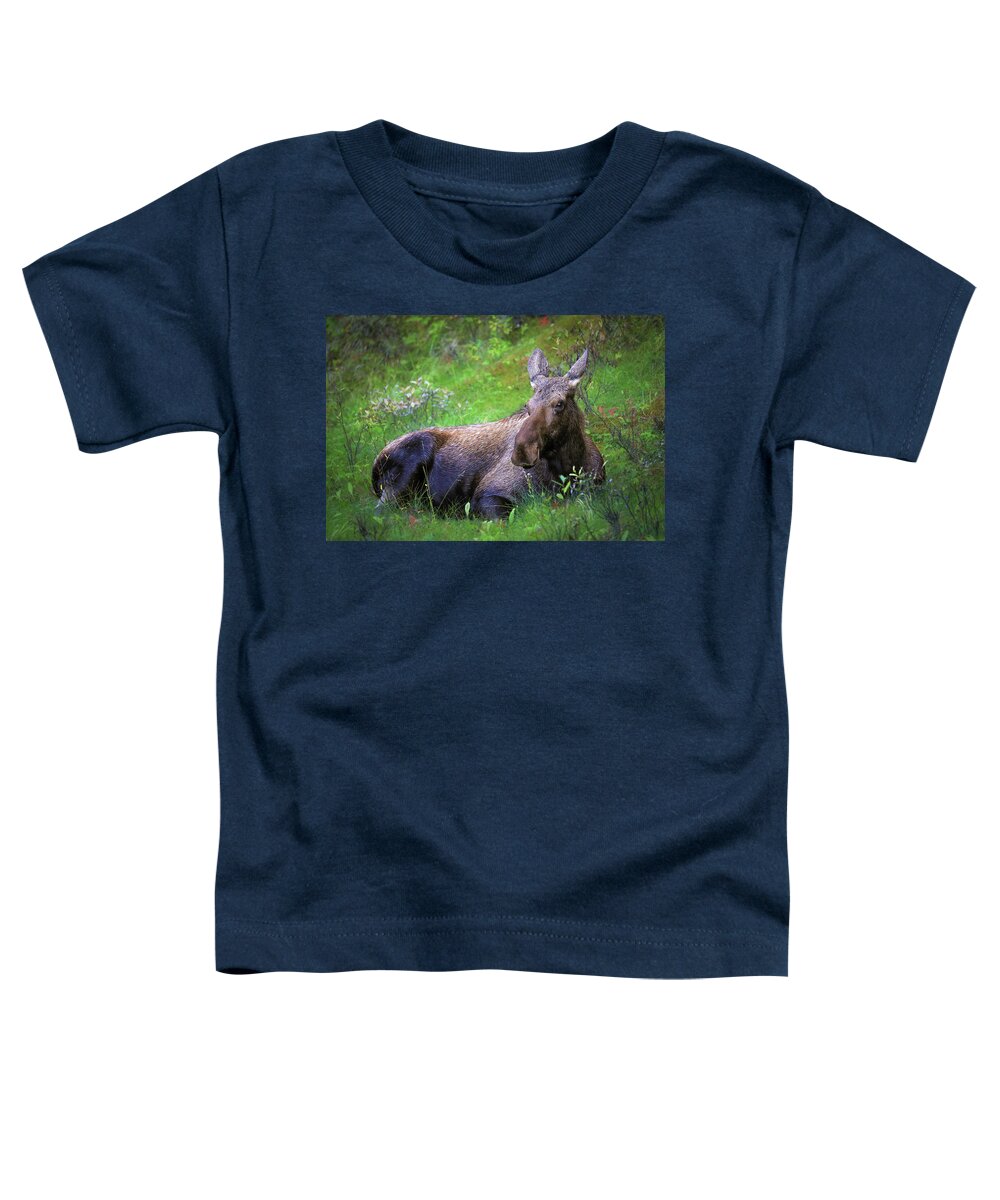 Wild Moose Canadian Rockies - Toddler T-Shirt