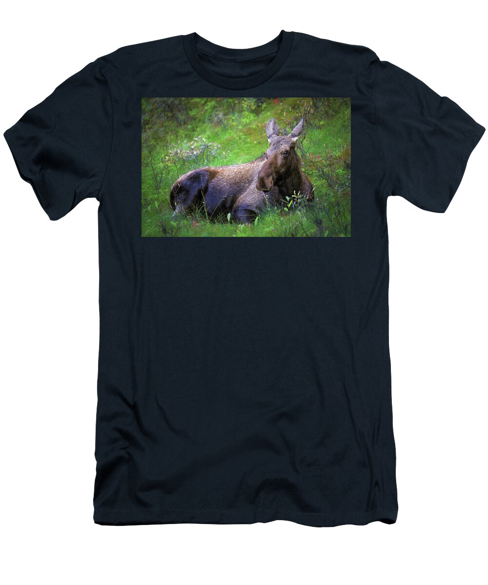 Wild Moose Canadian Rockies - T-Shirt