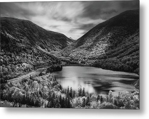 Artist Bluff Moody Black And White - Metal Print