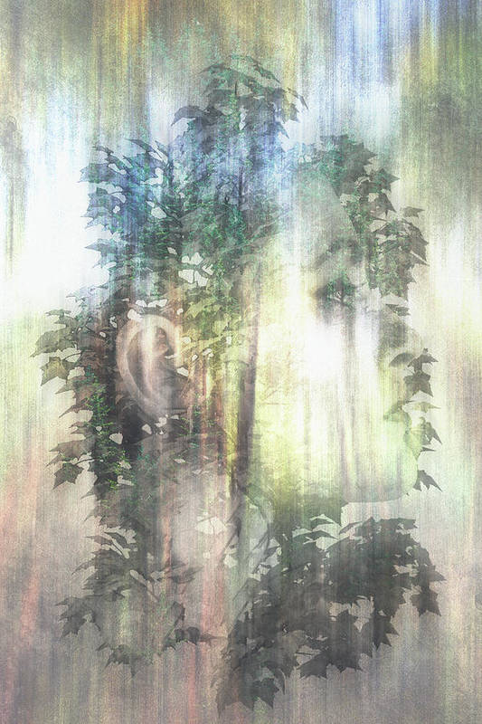 Forest Beauty - Art Print