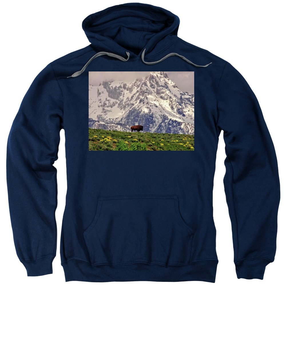 Spring Bison In Grand Teton National Park - Sweatshirt