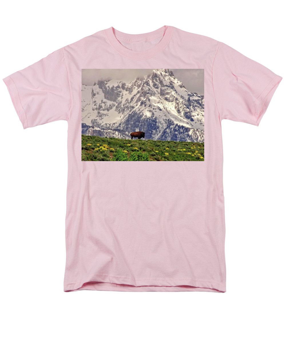 Spring Bison In Grand Teton National Park - Men's T-Shirt  (Regular Fit)