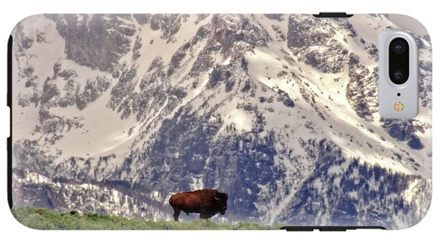 Spring Bison In Grand Teton National Park - Phone Case