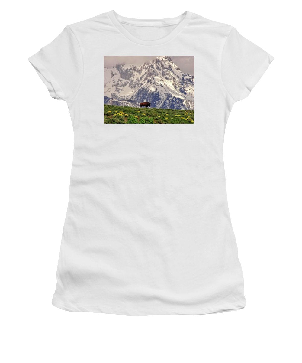 Spring Bison In Grand Teton National Park - Women's T-Shirt