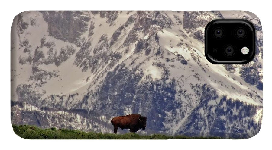 Spring Bison In Grand Teton National Park - Phone Case