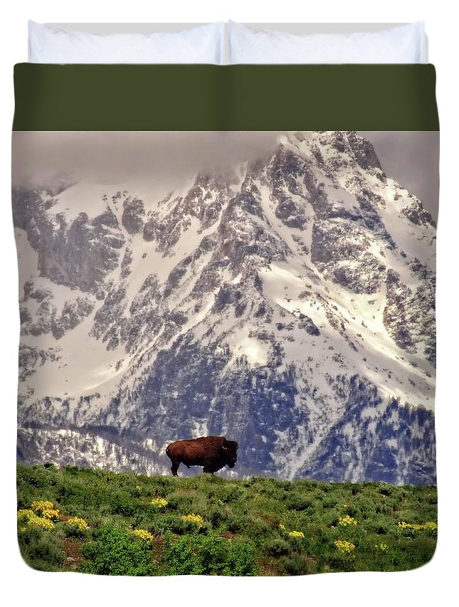 Spring Bison In Grand Teton National Park - Duvet Cover