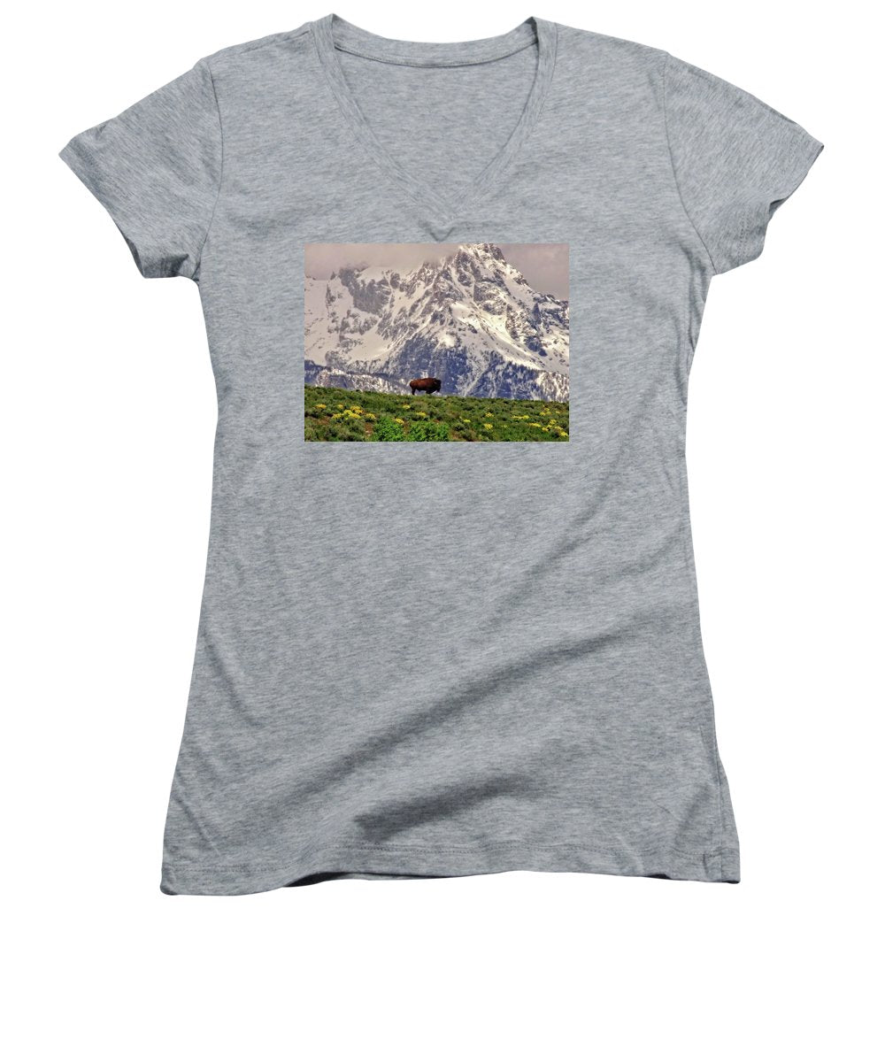 Spring Bison In Grand Teton National Park - Women's V-Neck