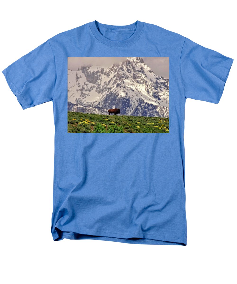 Spring Bison In Grand Teton National Park - Men's T-Shirt  (Regular Fit)