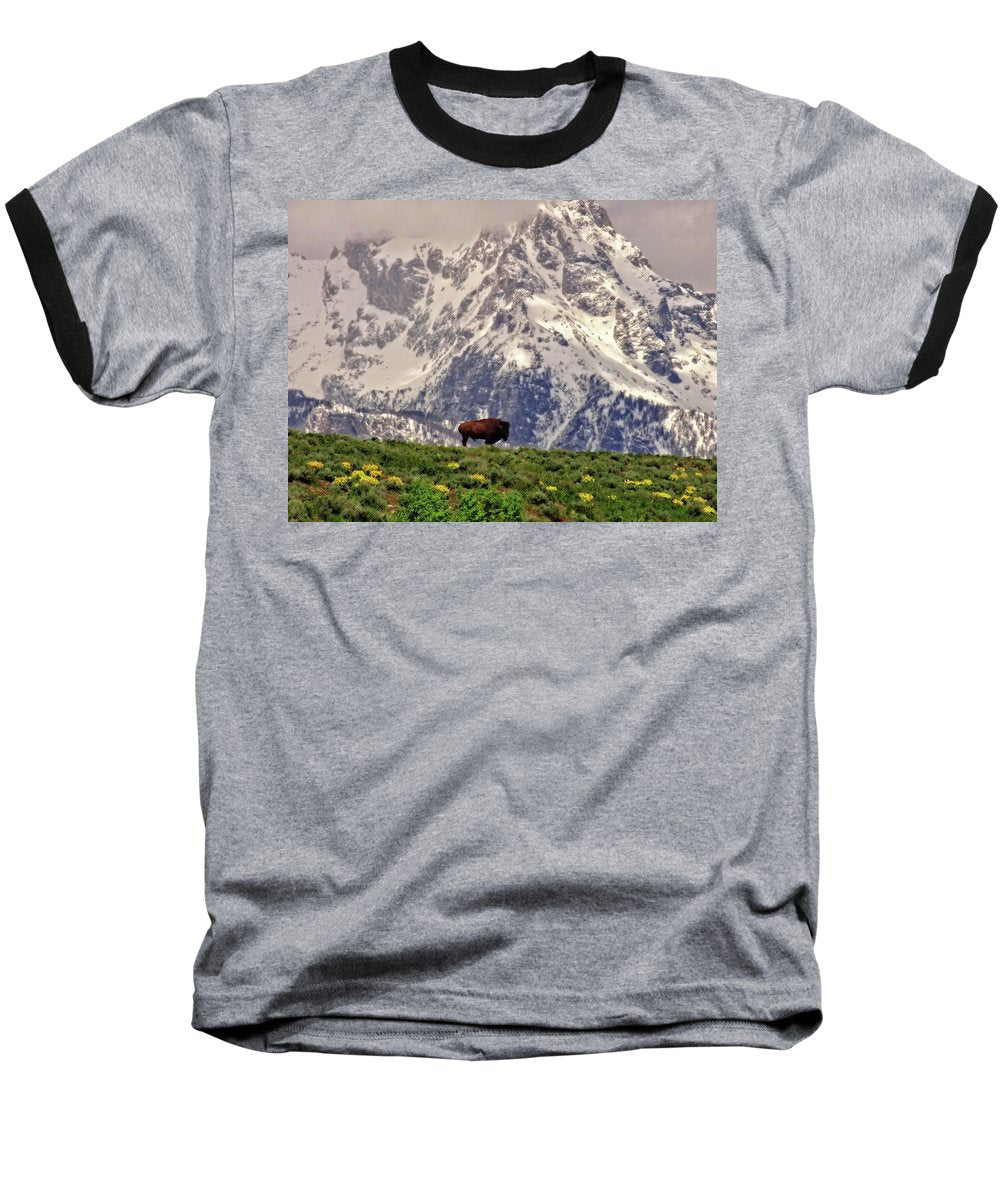 Spring Bison In Grand Teton National Park - Baseball T-Shirt