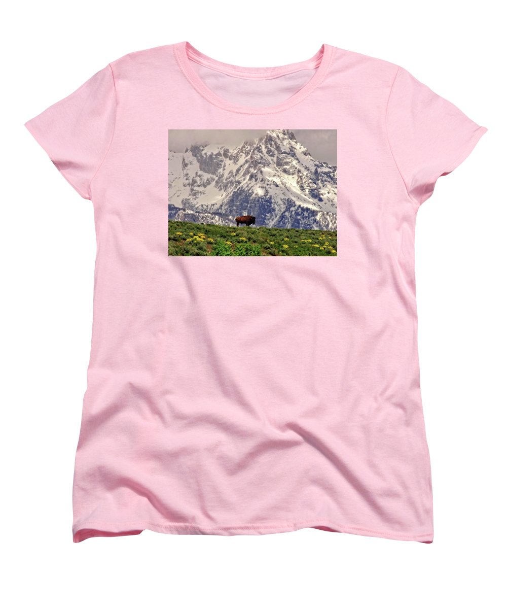 Spring Bison In Grand Teton National Park - Women's T-Shirt (Standard Fit)