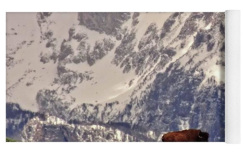 Spring Bison In Grand Teton National Park - Yoga Mat