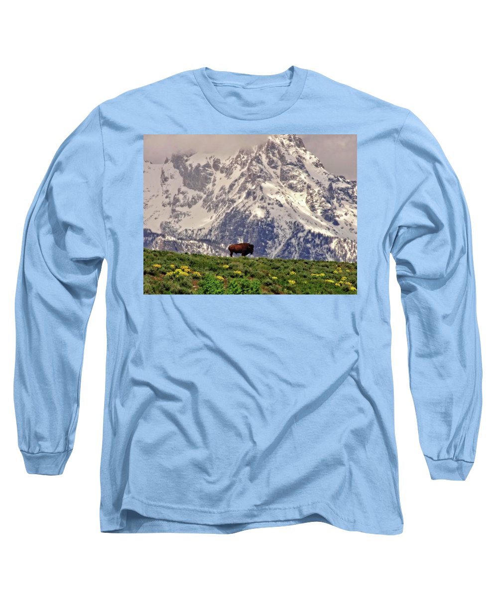 Spring Bison In Grand Teton National Park - Long Sleeve T-Shirt