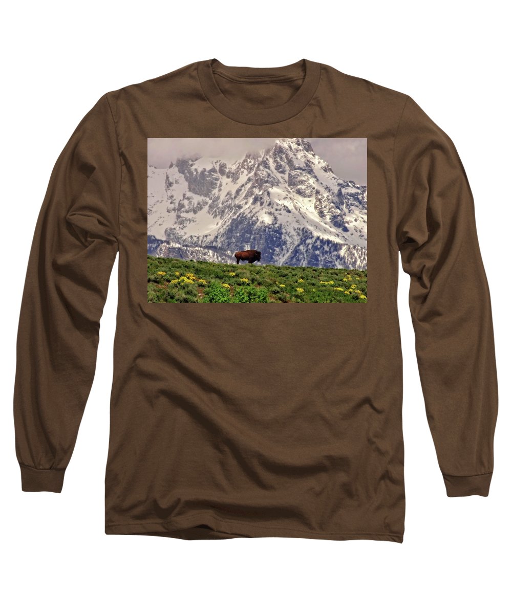 Spring Bison In Grand Teton National Park - Long Sleeve T-Shirt