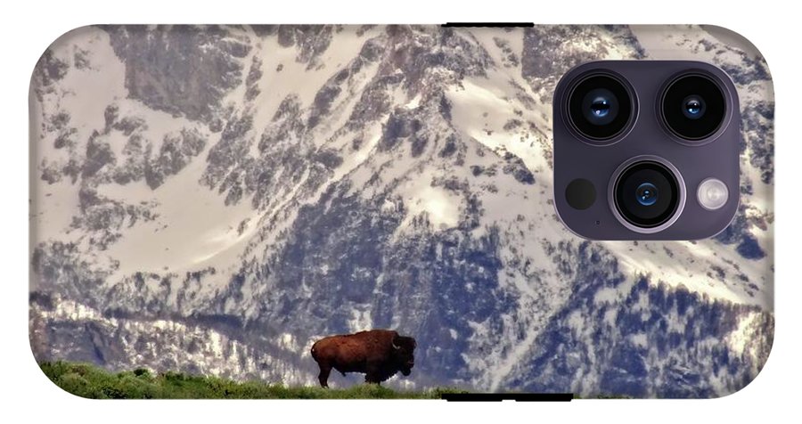 Spring Bison In Grand Teton National Park - Phone Case