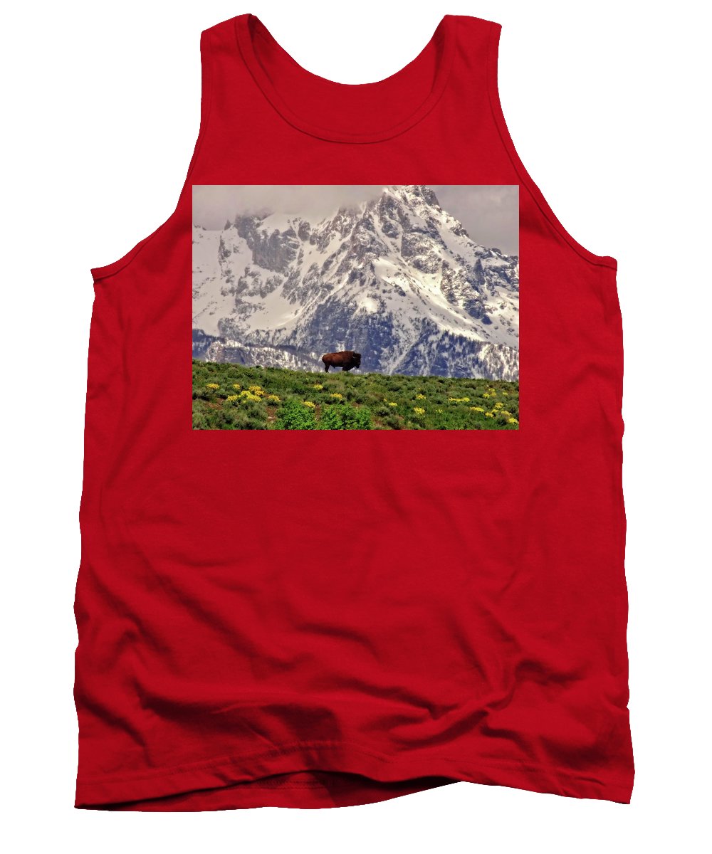 Spring Bison In Grand Teton National Park - Tank Top