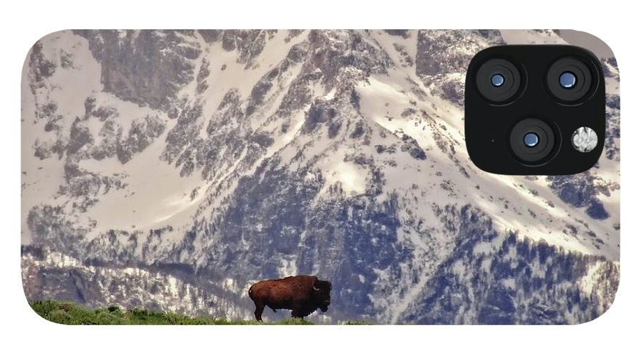 Spring Bison In Grand Teton National Park - Phone Case