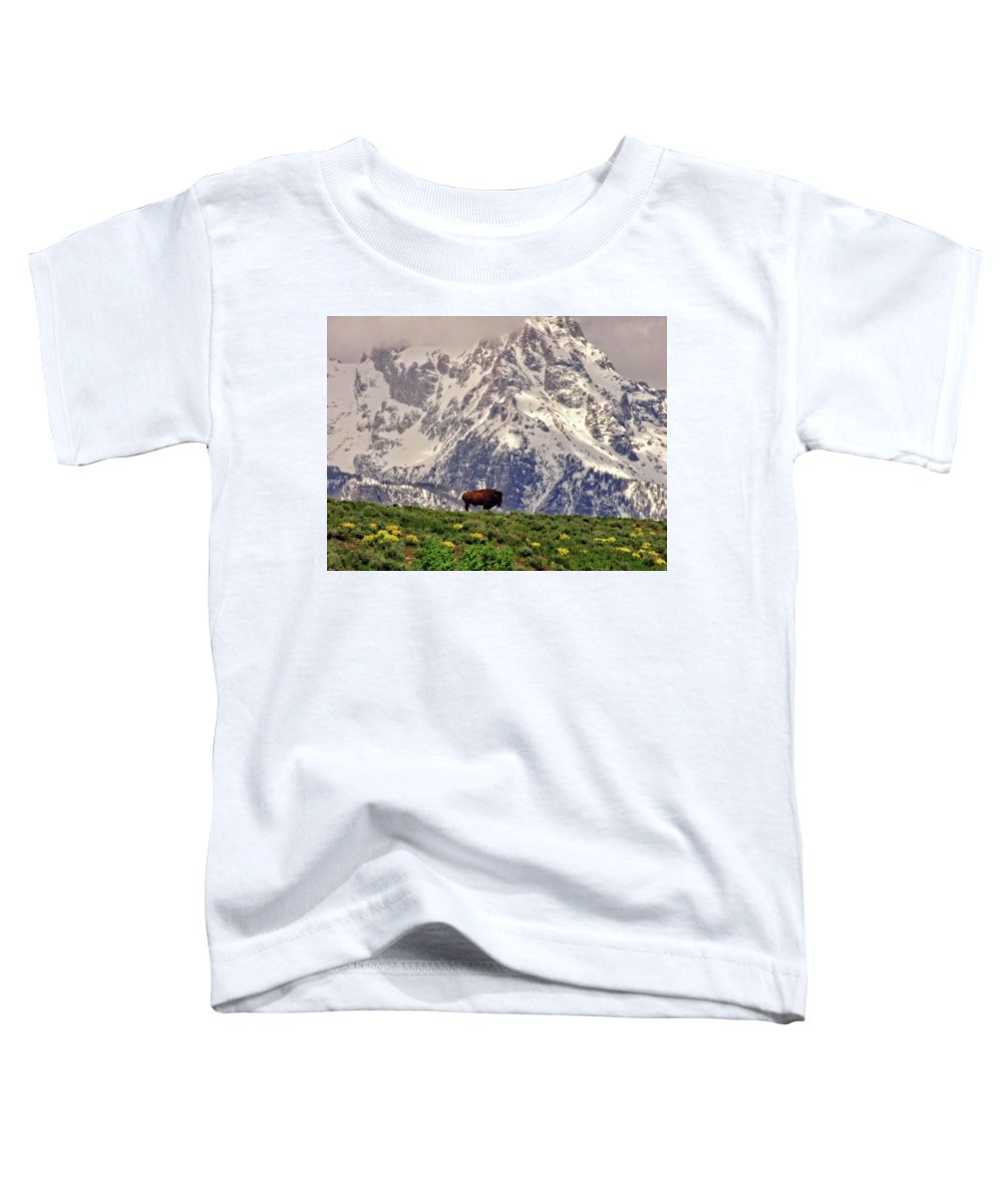 Spring Bison In Grand Teton National Park - Toddler T-Shirt