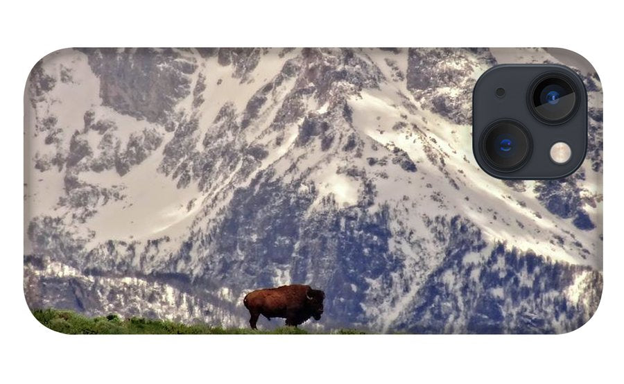 Spring Bison In Grand Teton National Park - Phone Case