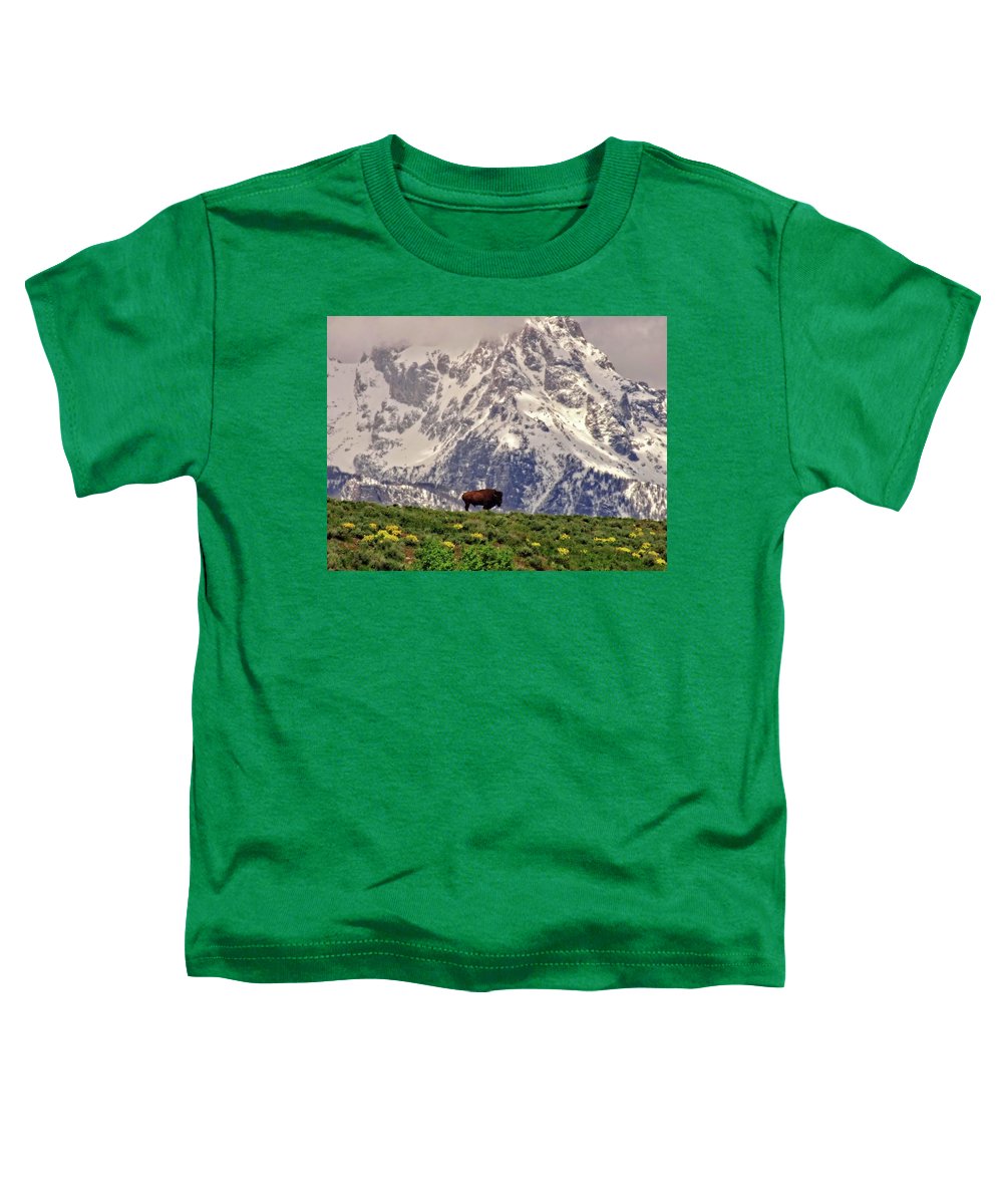 Spring Bison In Grand Teton National Park - Toddler T-Shirt