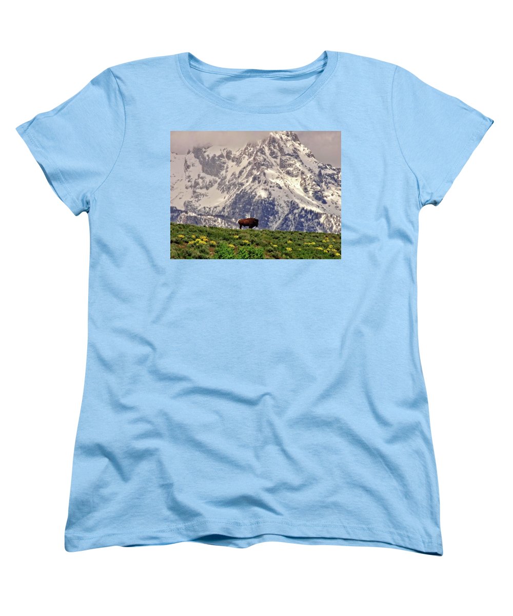 Spring Bison In Grand Teton National Park - Women's T-Shirt (Standard Fit)