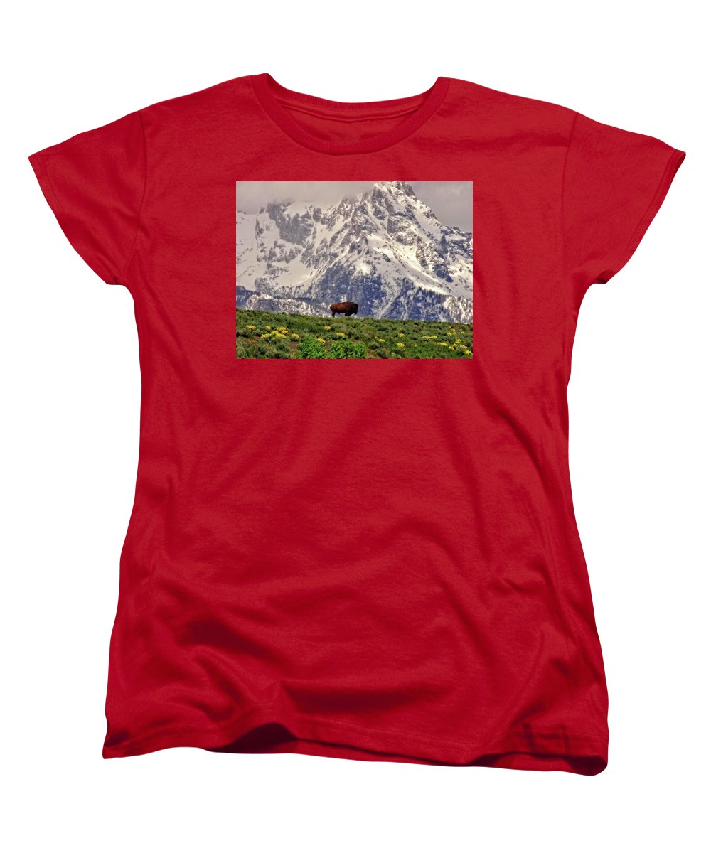 Spring Bison In Grand Teton National Park - Women's T-Shirt (Standard Fit)