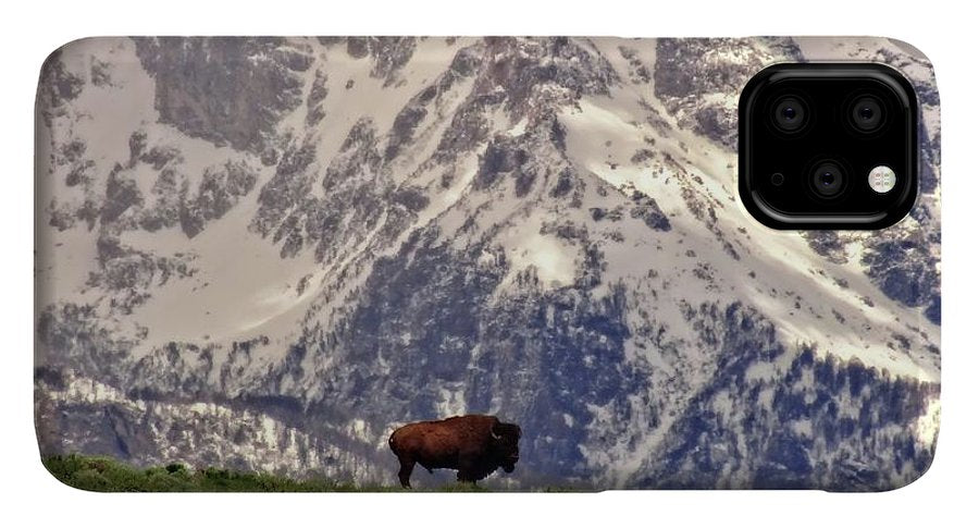 Spring Bison In Grand Teton National Park - Phone Case